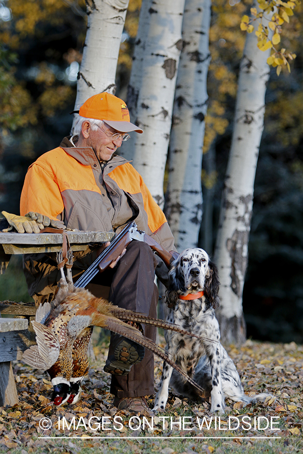 Hunter with English Setter in autumn.