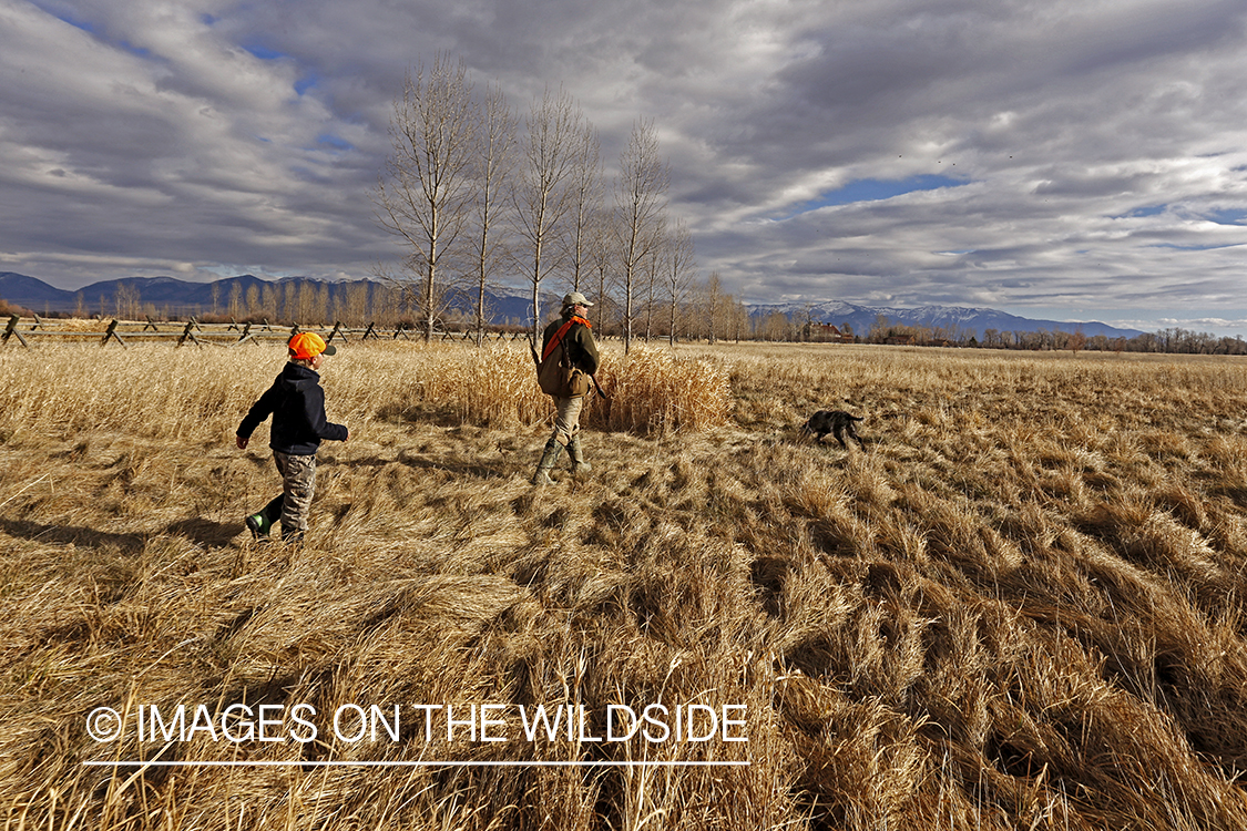 Father and son pheasant hunting. 