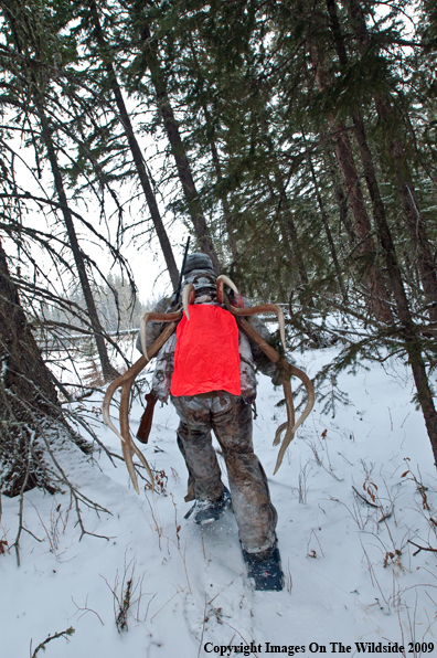 Hunter with elk rack