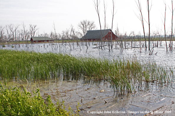 Wetland flooding on National Wildlife Refuge