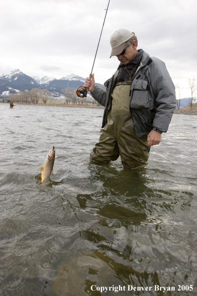 Flyfisherman with catch.