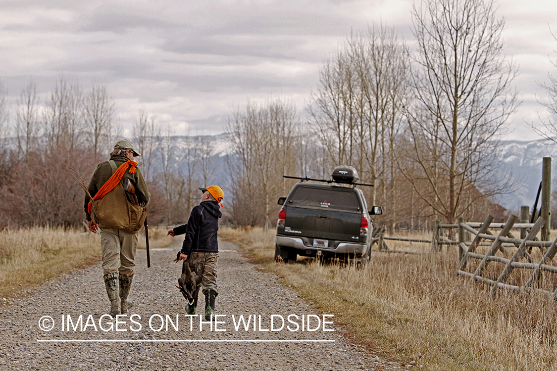 Father and son pheasant hunting. 