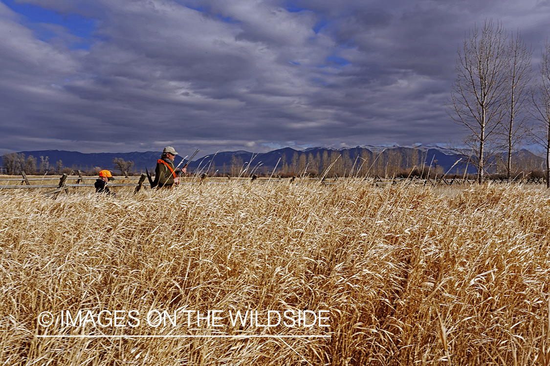 Father and son pheasant hunting. 