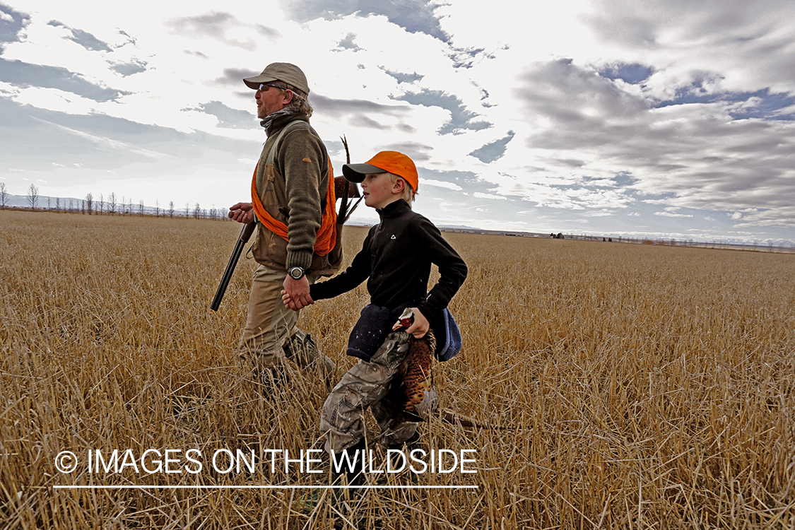 Father and son pheasant hunting. 