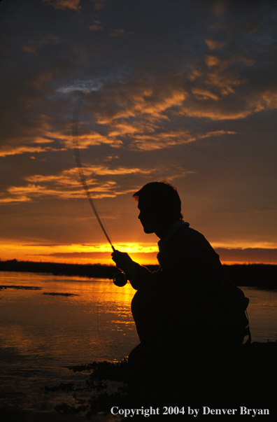 Flyfisherman casting in river.