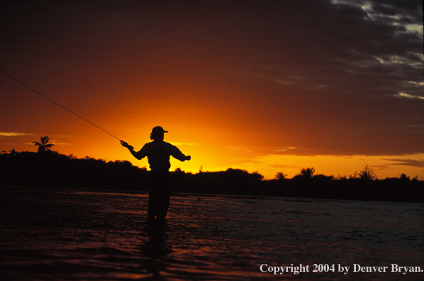 Saltwater flyfisherman fishing.