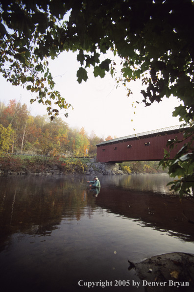 Flyfisherman on autumn colored stream.