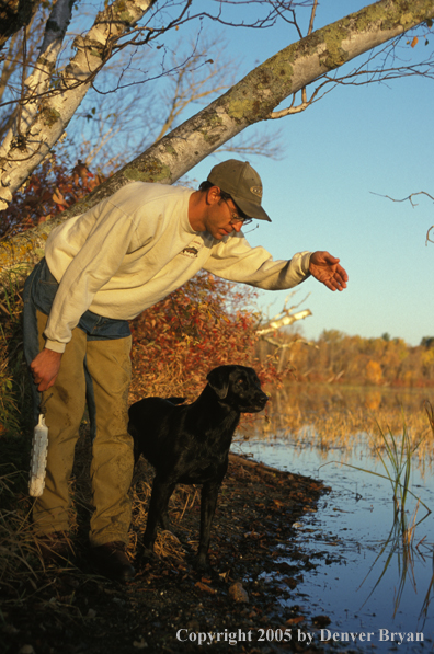 Trainer with black Labrador Retriever.