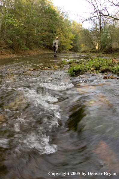 Flyfisherman walking downstream.