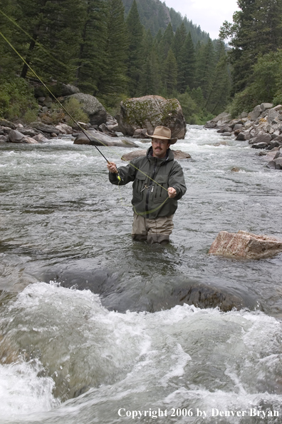 Flyfisherman fishing water pocket in river.