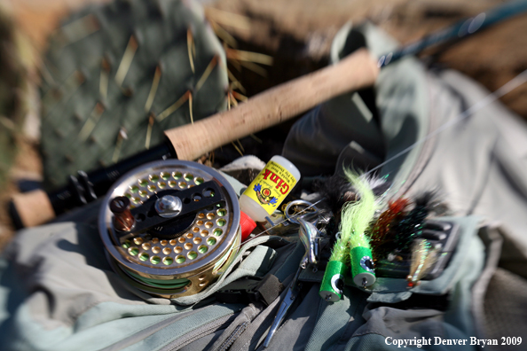 Fishing reel and gear