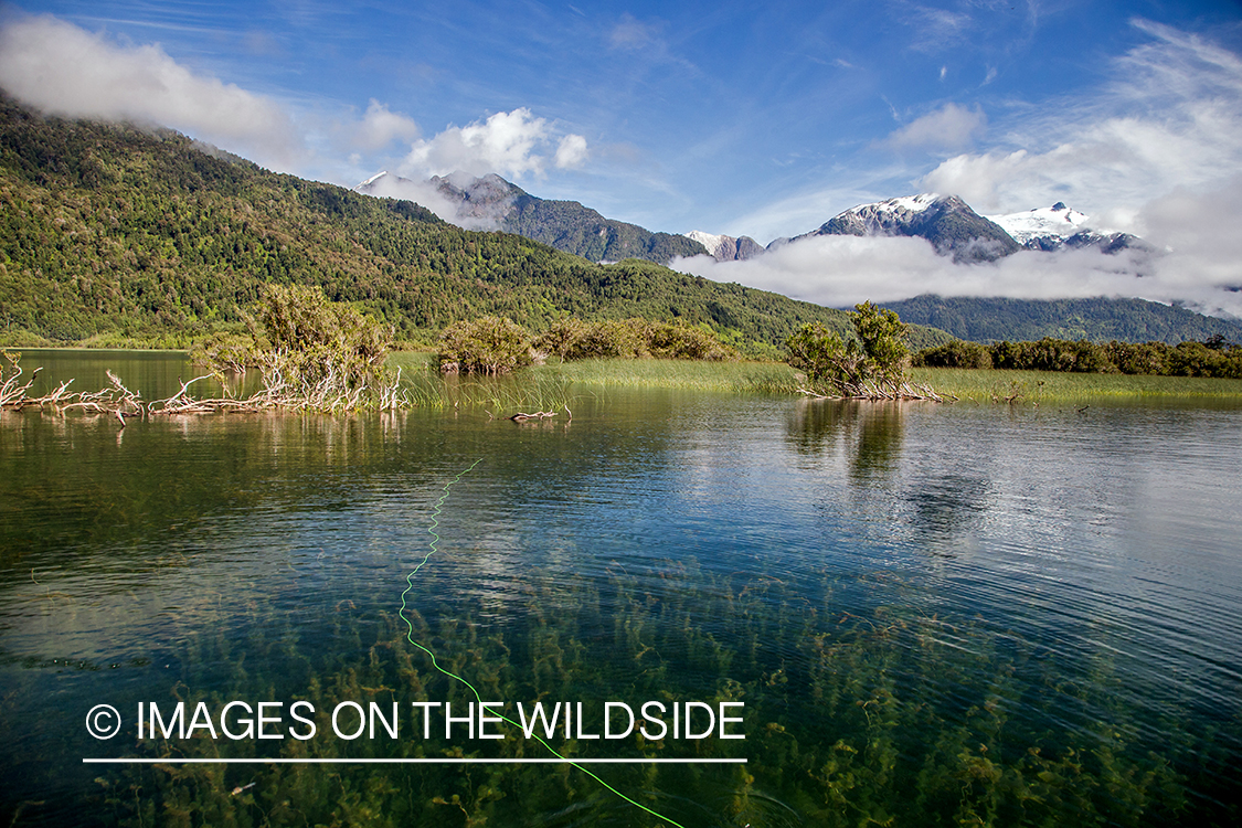 Water infront of Andes.