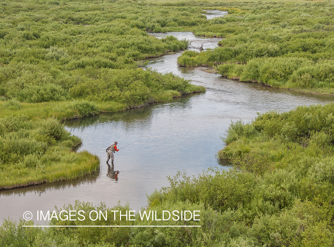 Flyfishing on South Fork Madison, Montana.