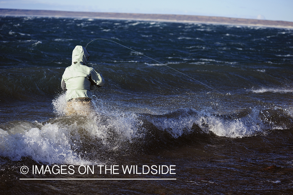 Jurassic Lake flyfisher fighting rainbow trout, Argentina.