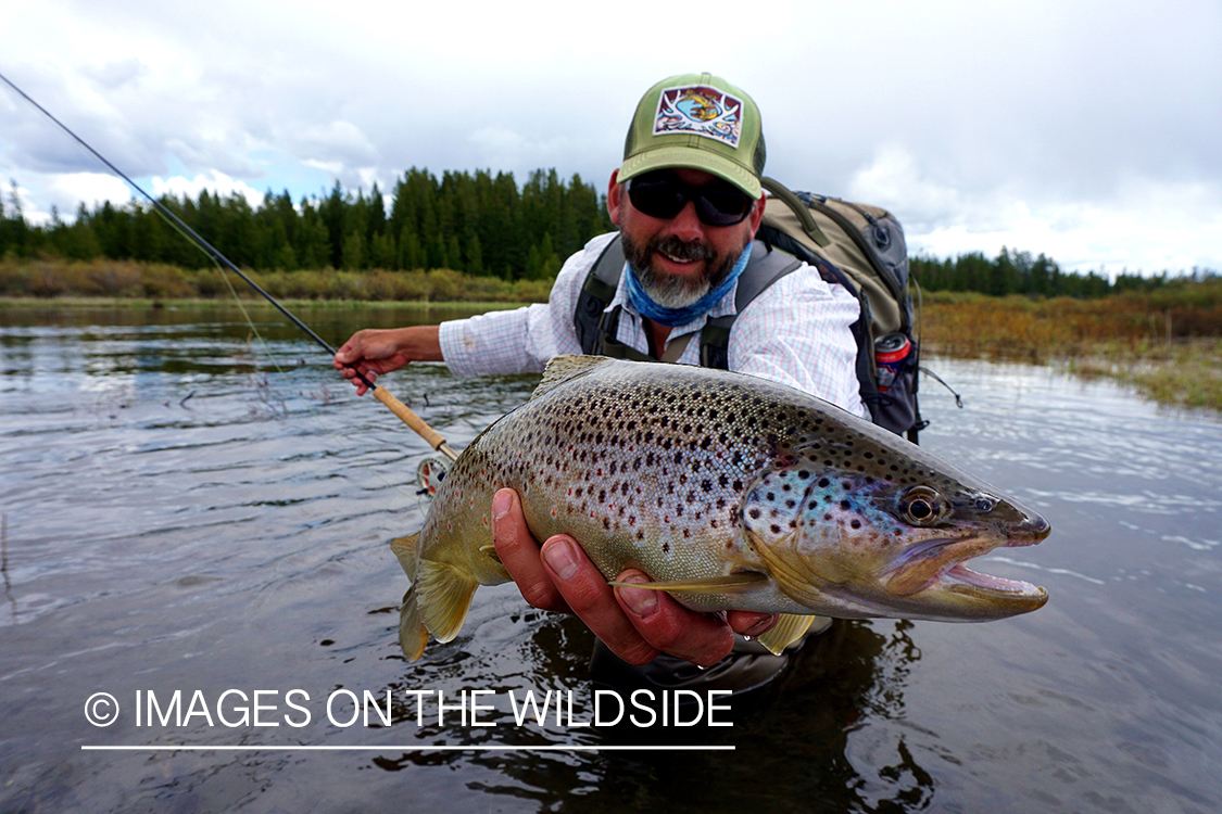 Flyfisherman releasing Brown Trout.