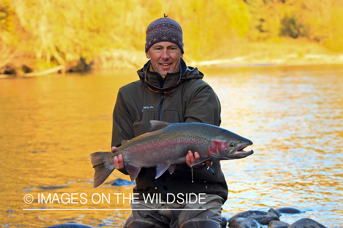 Flyfisherman with Steelhead. 