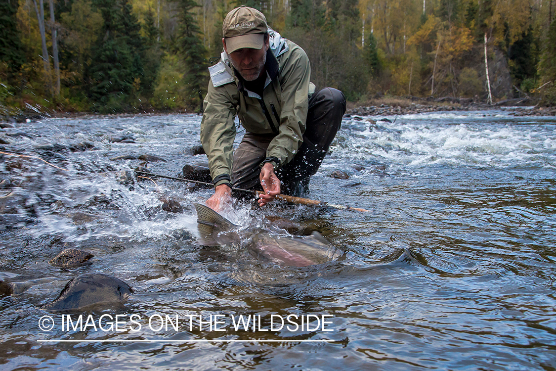 Steelhead fishing