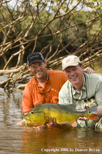 Fisherman holding Peacock Bass