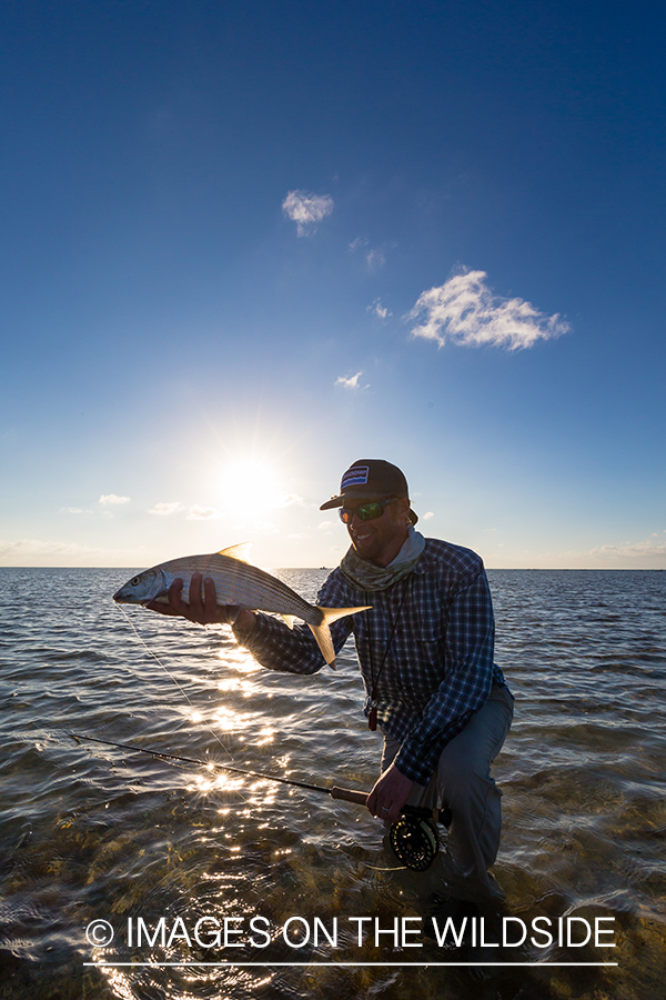 Flyfisherman releasing bonefish.