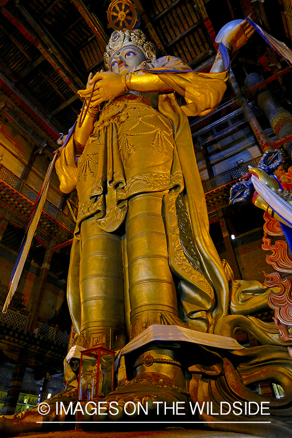 Buddhist statue in monastery, Ulaanbaater, Mongolia. (97' tall)