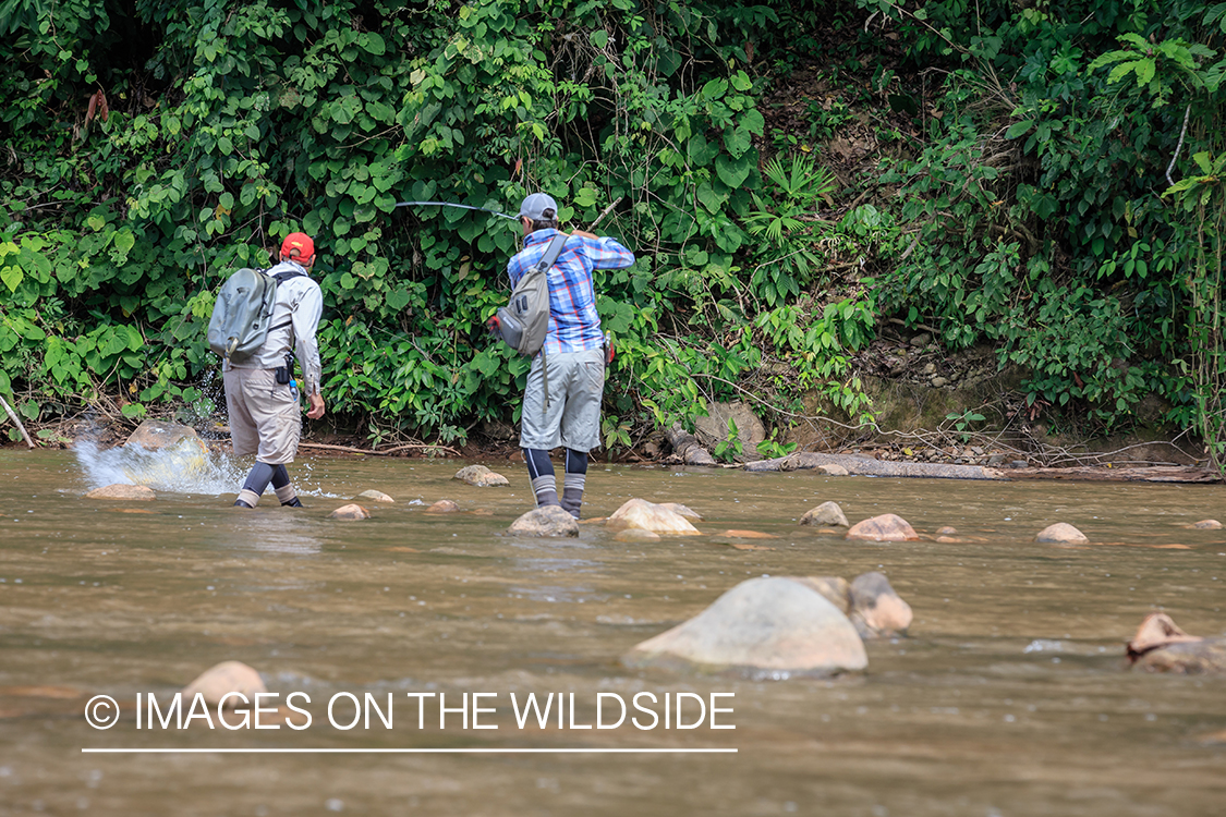 Flyfishing for Golden Dorado in Bolivia.