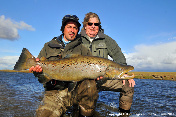 Flyfishermen with large brown trout. 