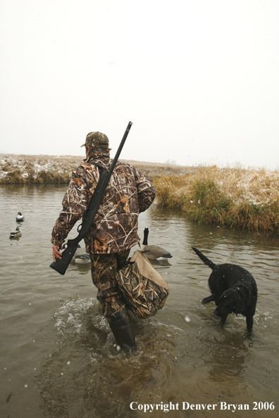 Duck hunting in winter