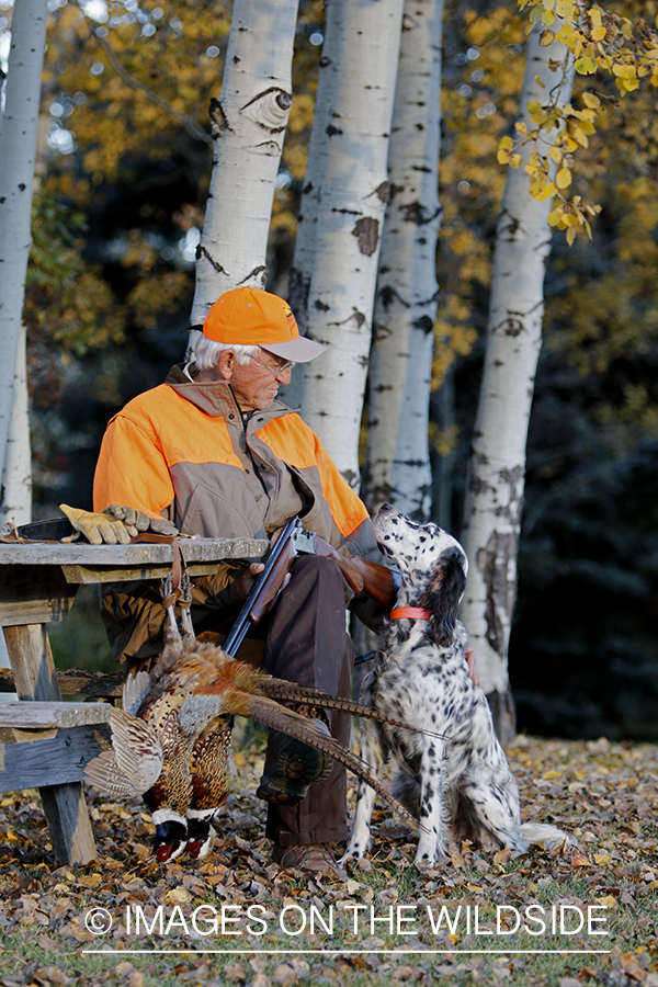 Hunter with English Setter in autumn.