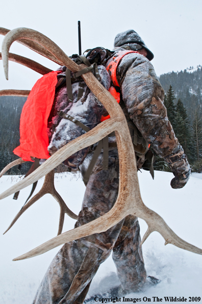 Hunter with elk rack