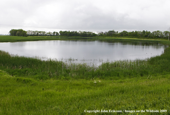 Wetlands on National Wildlife Refuge