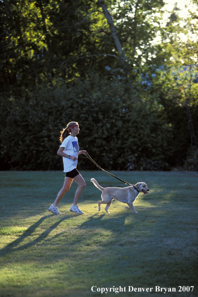 Woman running with yellow Labrador Retriever