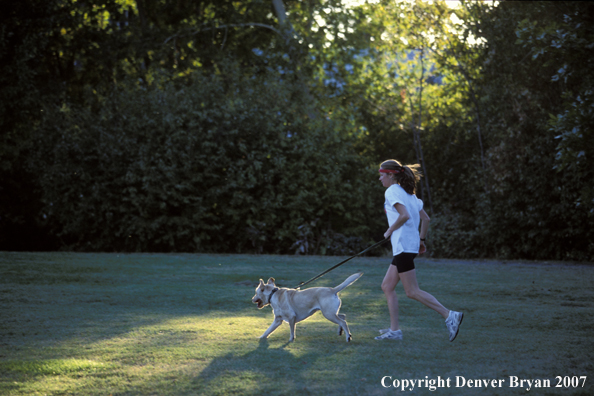 Woman running with yellow Labrador Retriever