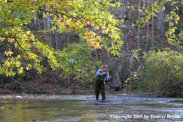 Flyfisherman casting in stream.