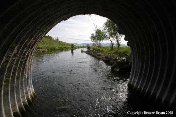 Flyfisherman fishing spring creek.