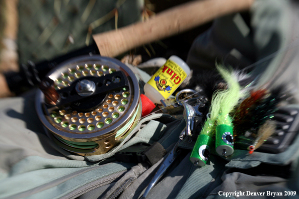 Fishing reel and gear