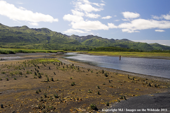 Flyfisherman on Kodiak Island, Alaska. 