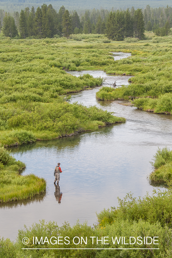 Flyfishing on South Fork Madison, Montana.