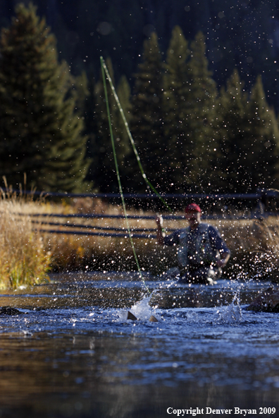 Flyfisherman Fighting Trout