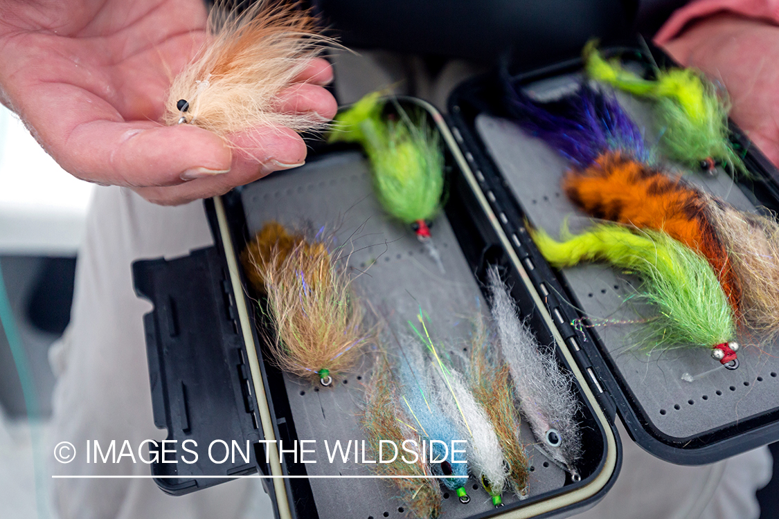 Flyfisherman looking through flies.