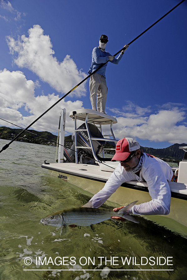 Saltwater flyfisherman with bonefish. 