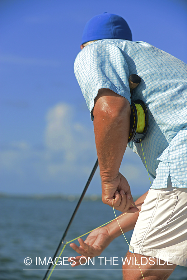 Flyfisherman landing tarpon on flats of Florida Keys.