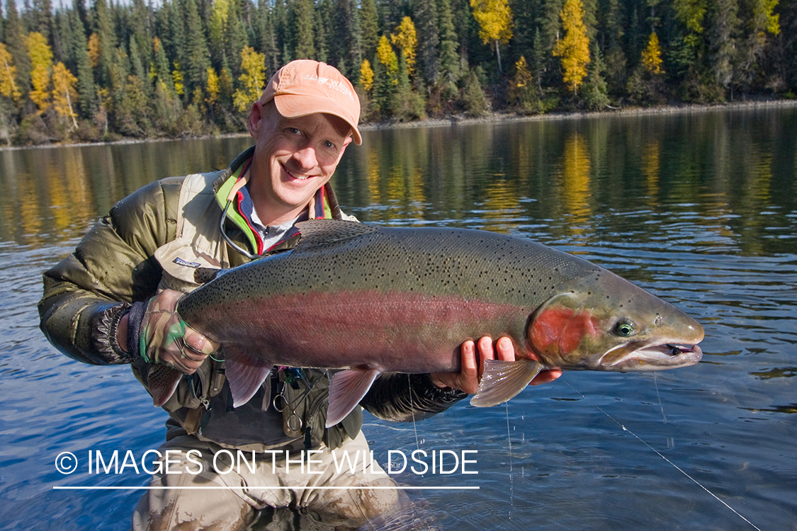 Flyfisherman with Steelhead. 