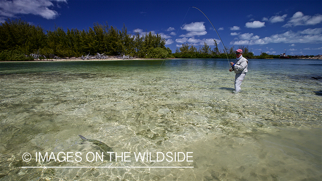 Flyfisherman fighting bonefish.