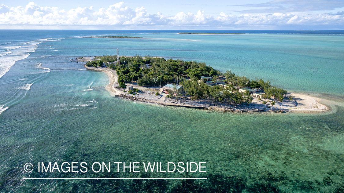 Drone aerial shot of St. Brandon's Atoll Flats.