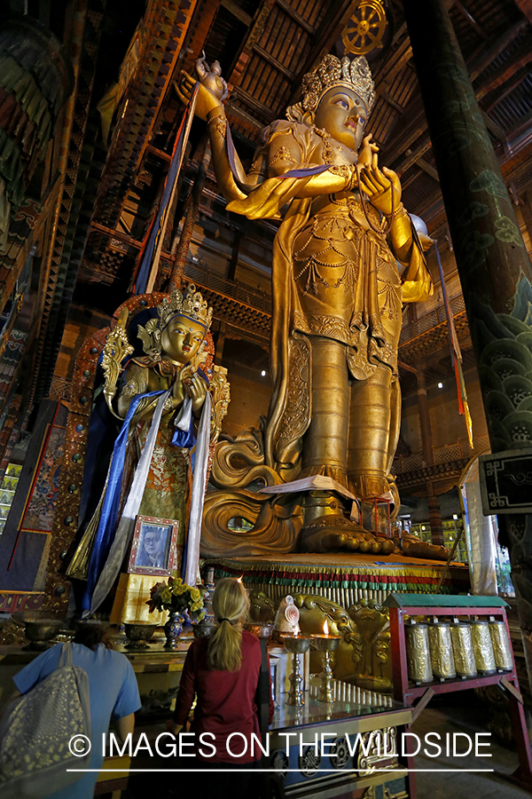 Buddhist statue in monastery, Ulaanbaater, Mongolia. (97' tall)