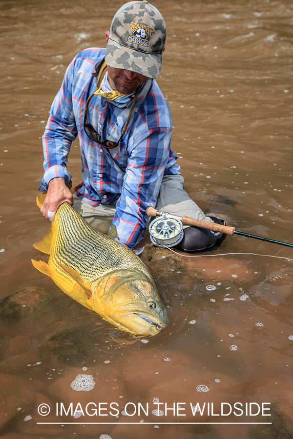 Flyfishing for Golden Dorado in Bolivia.