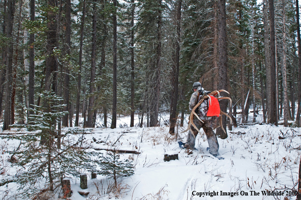 Hunter with elk rack