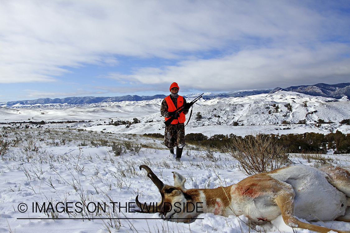 Young hunter approaching bagged pronghorn antelope.