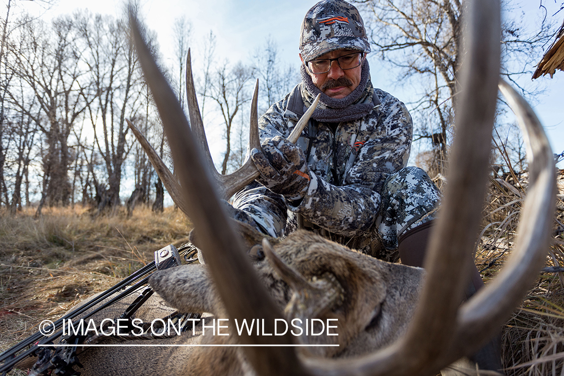 Bowhunter with bagged white-tailed buck. 