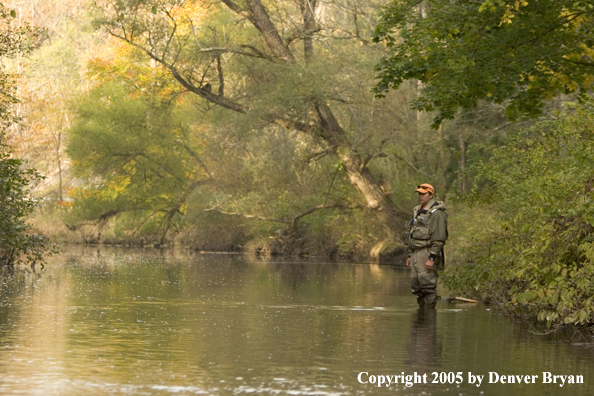 Flyfisherman wading in stream.